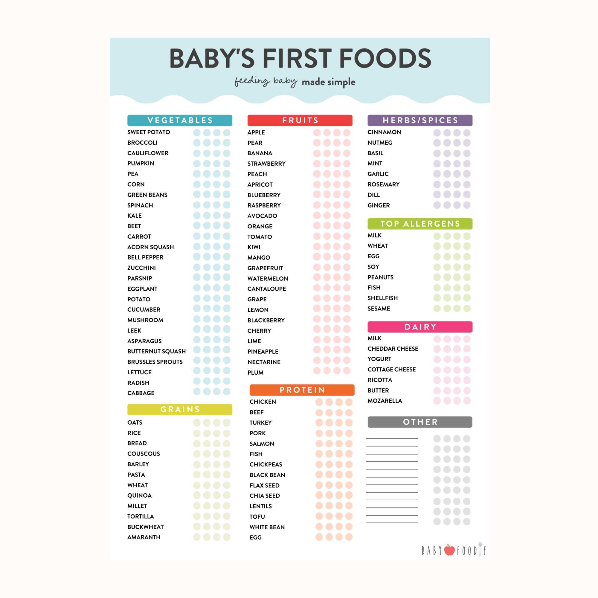 Baby's First Foods Checklist – Baby Foode Store