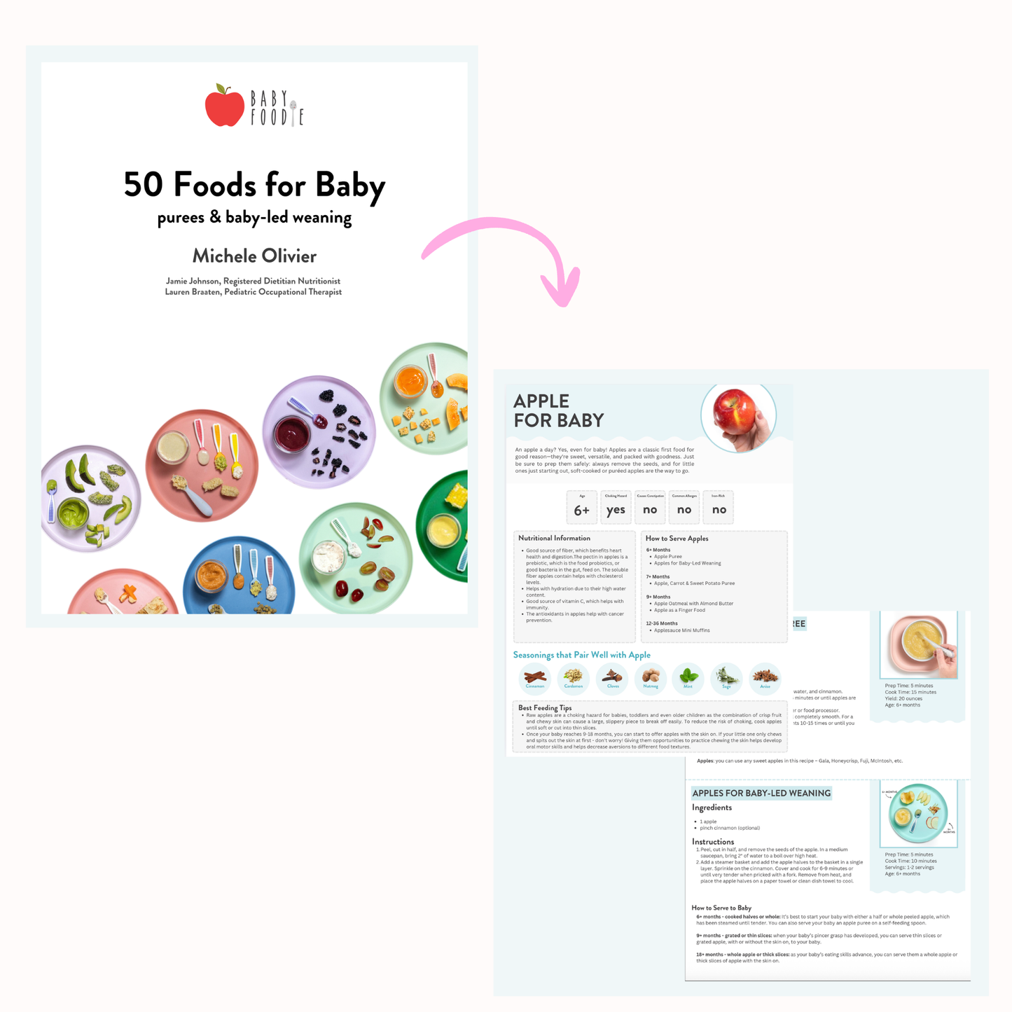 50 Foods for Baby Guide Bundle